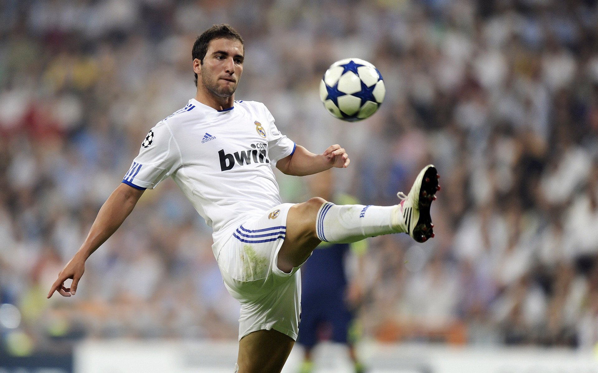 勒沃库森防线表现稳健，勒沃库森ds